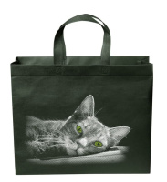 Еко сумка  середня  "Зелені очі" ручка 40см 38,5*32*12 чорна Еко сумка  середня  "Зелені очі" ручка 40см 38,5*32*12 чорна